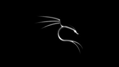 Kali Linux Nedir, Ne İşe Yarar ve Nasıl Kurulur? 16 Kali Linux Nedir, Ne İşe Yarar ve Nasıl Kurulur?
