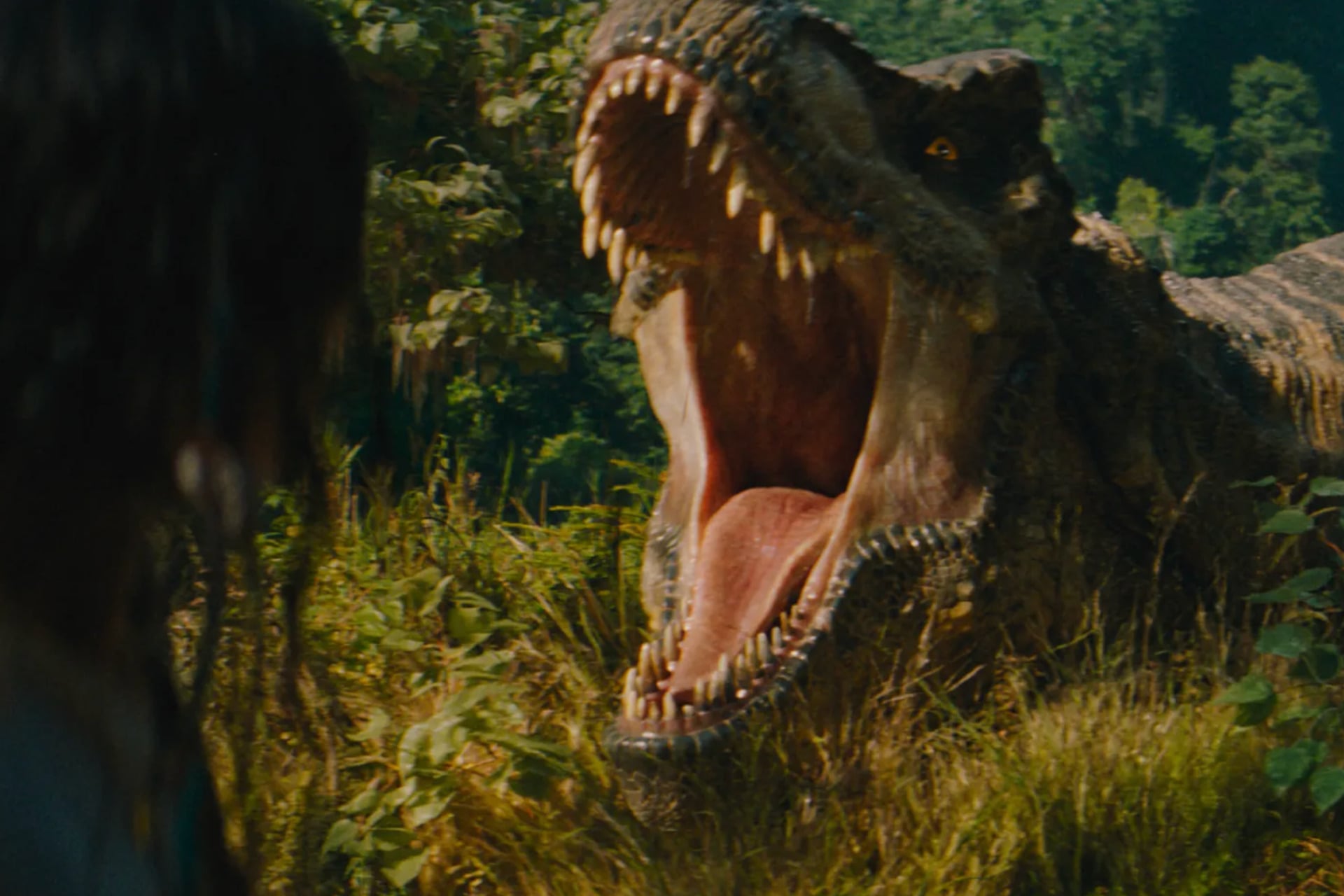 Jurassic World’un Yeni Sezonu: Gareth Edwards Projeden Ayrıldı 11 Jurassic World’un Yeni Sezonu: Gareth Edwards Projeden Ayrıldı